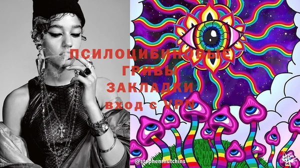 стаф Абинск